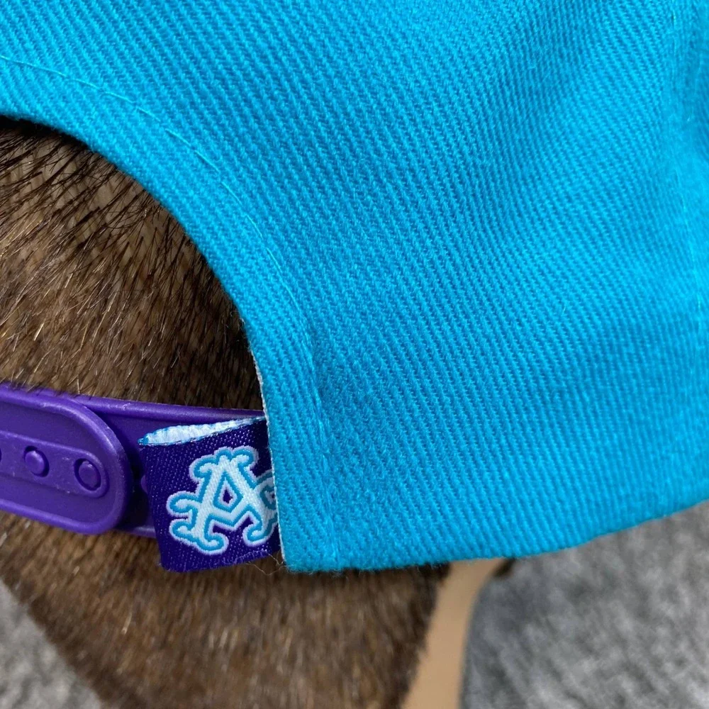 Vintage Akademiks Hat Purple Teal White Y2K Streetwear Cap Embroidered Logo